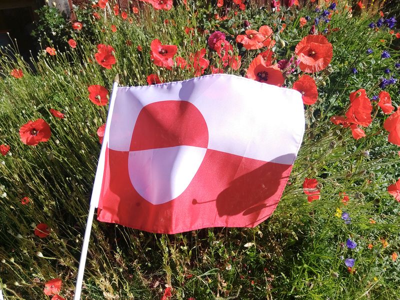 Meaudre Coquelicots 1